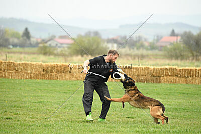 Storm Marinchuk K-9