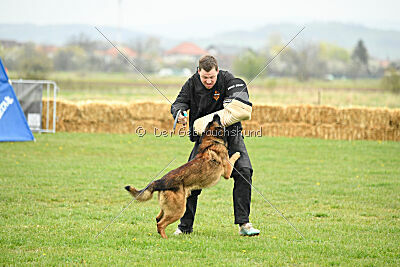 Storm Marinchuk K-9