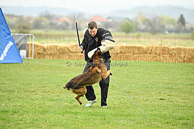 Storm Marinchuk K-9
