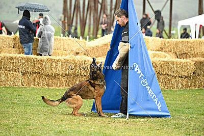 Storm Marinchuk K-9