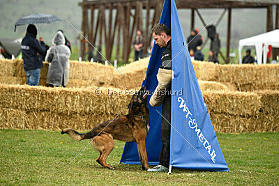Storm Marinchuk K-9