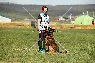 Storm Marinchuk K-9