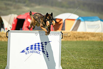 Storm Marinchuk K-9