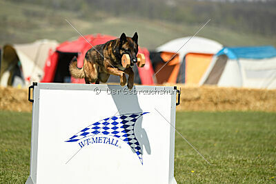 Storm Marinchuk K-9