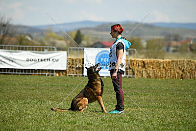 Storm Marinchuk K-9