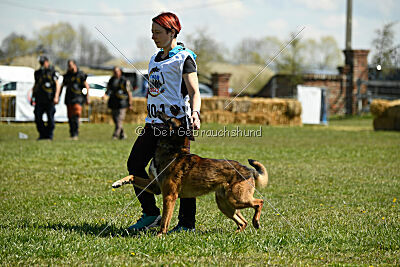 Storm Marinchuk K-9