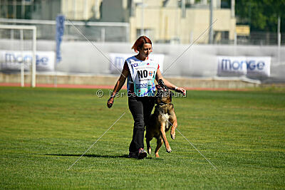 Storm Marinchuk K-9