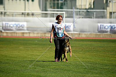 Storm Marinchuk K-9