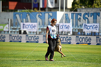 Storm Marinchuk K-9