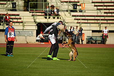 Storm Marinchuk K-9