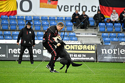T-Lothar vom Hause Meraner