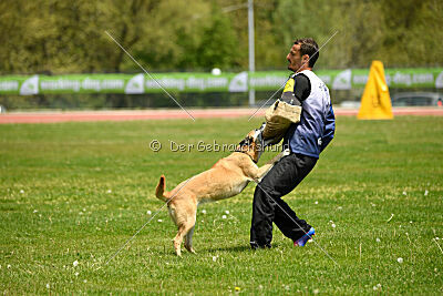 Tämä on Ihmeellinen