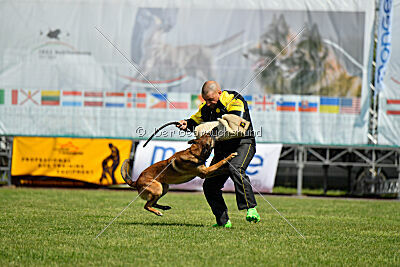 Tango God of War