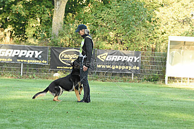 Tango aus dem Wesen Zwinger