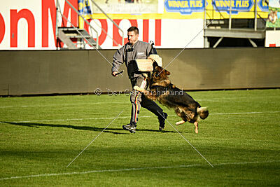Team Gamedog Anton