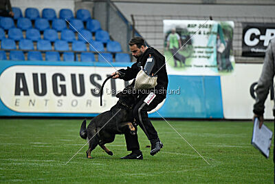 Theo vom Gottwollshäuser Tal