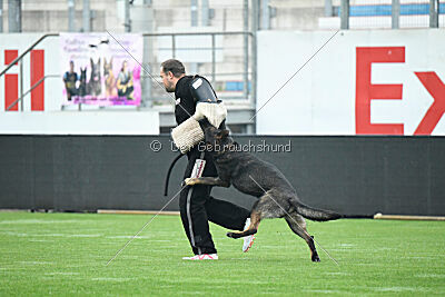 Theo vom Gottwollshäuser Tal