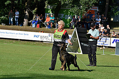 Theo vom Gottwollshäuser Tal