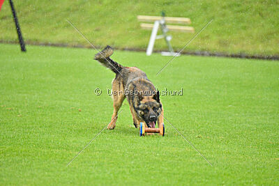 Thyrion de la Mamba Noire