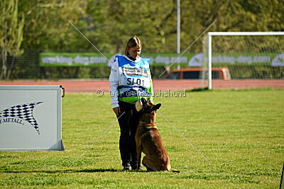 Tibsy Tore's Working Dogs