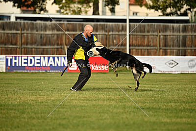 Timberley vom Wolfsdreieck