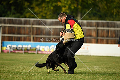 Timberley vom Wolfsdreieck