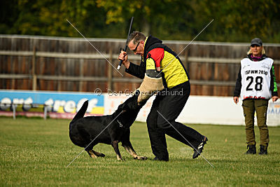 Timberley vom Wolfsdreieck