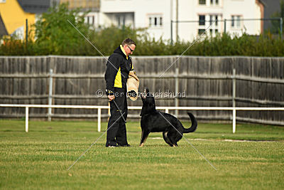 Timberley vom Wolfsdreieck