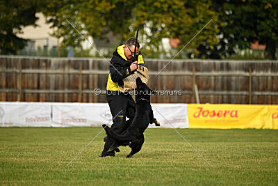 Timberley vom Wolfsdreieck