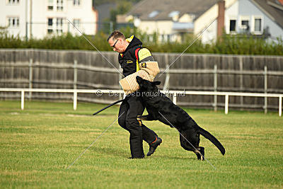 Timberley vom Wolfsdreieck