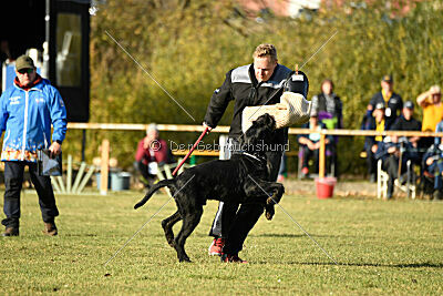 Tintenfass Wrangler HV's son