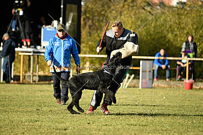 Tintenfass Wrangler HV's son