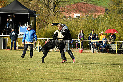 Tintenfass Wrangler HV's son