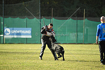 Tintenfass Wrangler HV's son