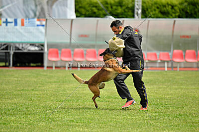 Tito Running Wild