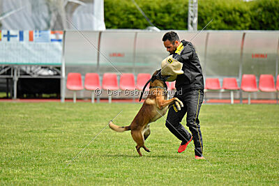 Tito Running Wild