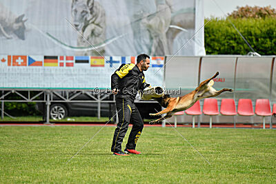 Tito Running Wild