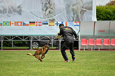 Tito Running Wild