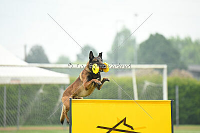 Tito Running Wild