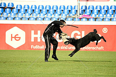 Titus vom Waisagrund