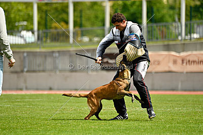 Torpeda iz Komandy Azart