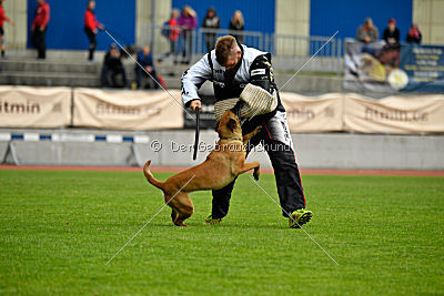 Uma Anubis the Second