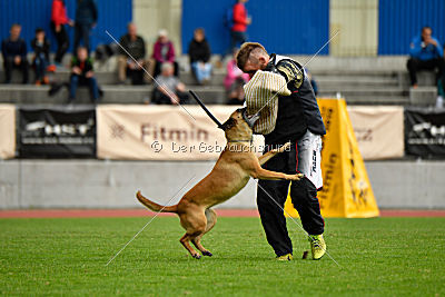 Uma Anubis the Second