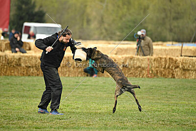 United Dutch Gumball