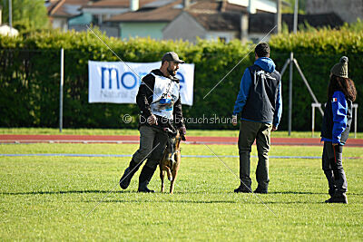 Urbancanines Hunter