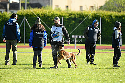 Urbancanines Hunter