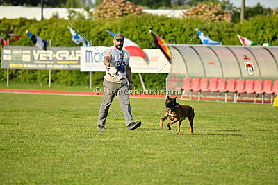 Urbancanines Hunter