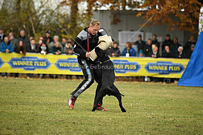 Urmel vom Gutspark
