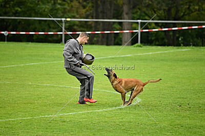 Van Gogh von der Steinteichmühle