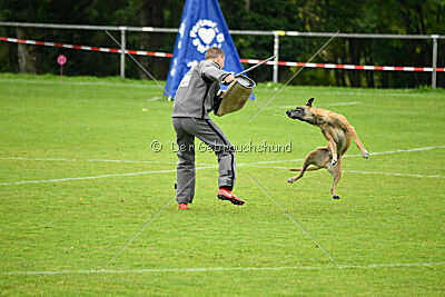 Van Gogh von der Steinteichmühle